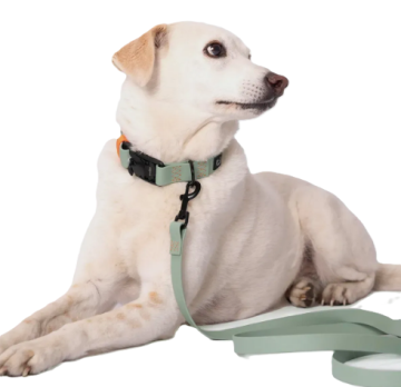 Ошейник для собак Cloud7 Ipanema Мятный