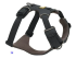 Повсякденна шлейка для собак Ruffwear Front Range Сірий