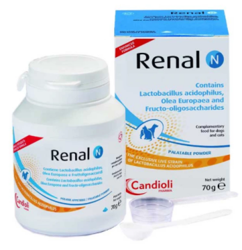 Порошок Candioli Renal N – препарат для снижения АД в почках и поддержания ЖКТ