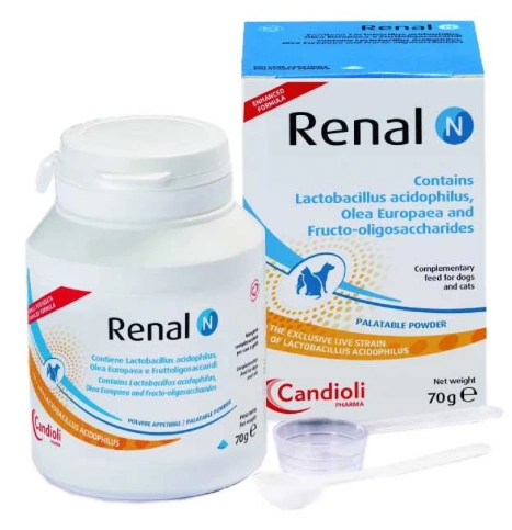 Порошок Candioli Renal N – препарат для снижения АД в почках и поддержания ЖКТ