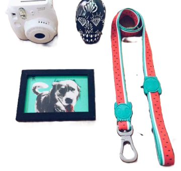 Повідець для собак Zee.Dog - Lola Leash