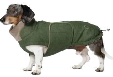 Утеплена куртка для такс і схожих порід собак Cloud7 Brooklyn Dachshound Зелений