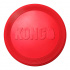 Kong Flyer