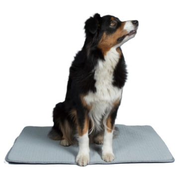 Охолоджувальний килимок для собак Paikka Cooling Blanket Grey 