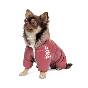 Комбінезон Pet Fashion Cherry дівчинка для собак