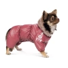 Комбінезон Pet Fashion Cherry дівчинка для собак