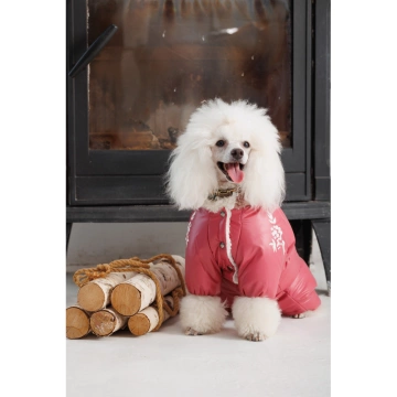 Комбінезон Pet Fashion Cherry дівчинка для собак