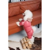 Комбінезон Pet Fashion Cherry дівчинка для собак