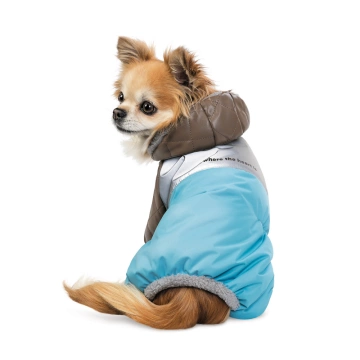 Комбінезон Pet Fashion Сharlie для собак