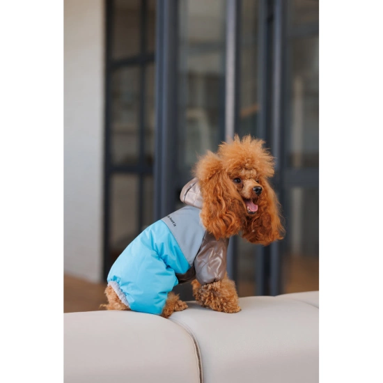 Комбинезон Pet Fashion СһагІіе для собак. Цена 1489 грн