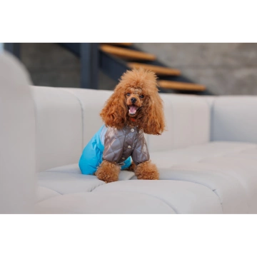 Комбінезон Pet Fashion Сharlie для собак