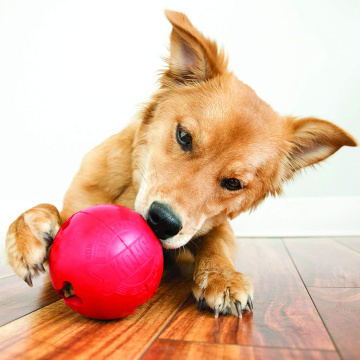 KONG Biscuit Ball