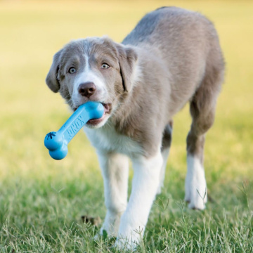 Kong Puppy Goodie Bone