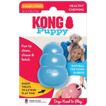 Kong Puppy