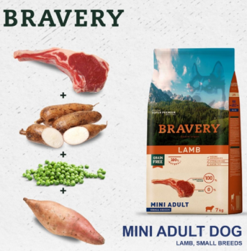 Сухий корм для собак дрібних порід BRAVERY Lamb Mini Adult з ягням