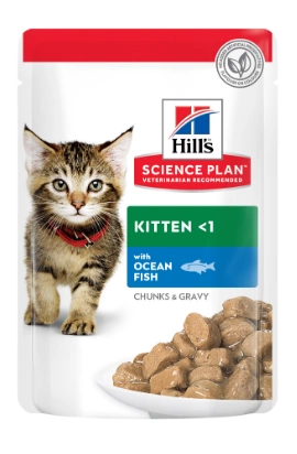 Hill's SP Kitten Влажный корм для котят и кошек в период беременности и лактации, с океанической рыбой