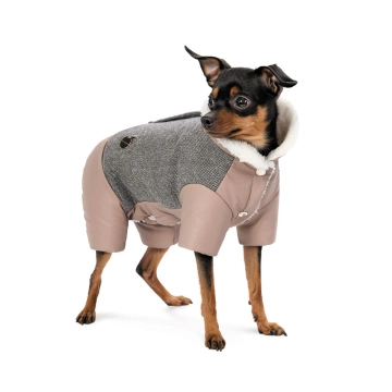 Костюм дівчинка Pet Fashion Twiddy для собак