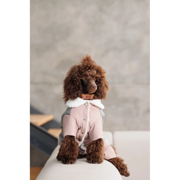 Костюм дівчинка Pet Fashion Twiddy для собак