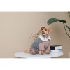 Костюм девочка Pet Fashion Twiddy для собак