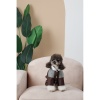 Костюм Pet Fashion Locky для собак