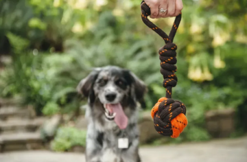 Игрушка для собак Scout & About Tug Ball Pet Play