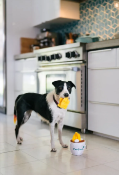 Игрушка для собак PLAY x Earth Rated - Poutine