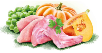 Brit Mono Protein Christmas - консервы Брит Моно Протеин Рождественский ужин с кроликом для собак  