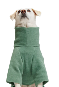 Светр для собак Cloud7 Cornwall Зелений