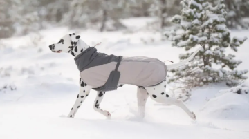 Зимняя куртка для собак Glacier wool jacket 3.0 Non-stop dogwear Серый