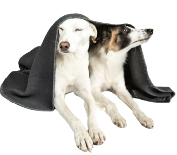 Плед для собак Cloud7 Темно-сірий