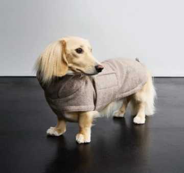 Утеплена куртка для такс і схожих порід собак Cloud7 Brooklyn Dachshound Бежевий