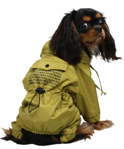 Дождевик DogsBomba карман, лайм