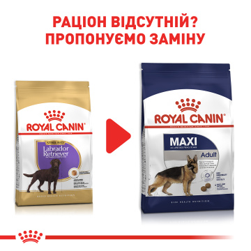 Royal Canin Labrador Retriever Adult Sterilised