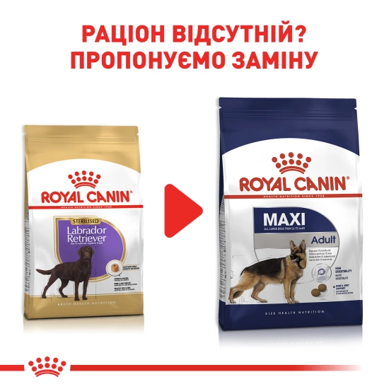 Royal canin outlet sterilised labrador retriever