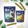 Лакомство для собак средних пород Brit Premium Dental Snacks с коллагеном и спирулиной