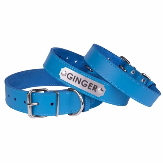 Нашийник для Собак Шкіряний "Весна" Блакитний