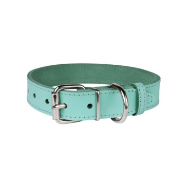 Нашийник для Собак Шкіряний "Весна" Ментоловий