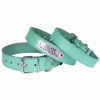 Нашийник для Собак Шкіряний "Весна" Ментоловий