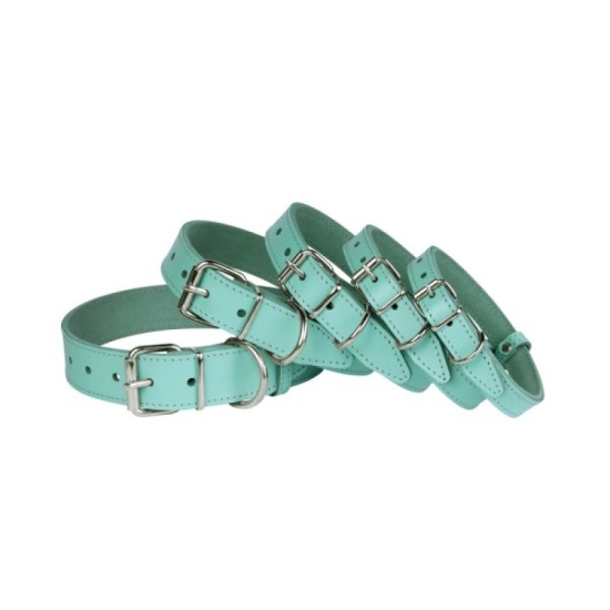 Нашийник для Собак Шкіряний "Весна" Ментоловий