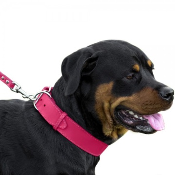 Нашийник для Собак Шкіряний "Весна" Рожевий