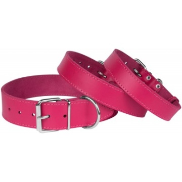 Нашийник для Собак Шкіряний "Весна" Рожевий