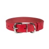 Нашийник для Собак Шкіряний "Весна" Червоний