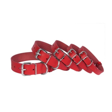 Нашийник для Собак Шкіряний "Весна" Червоний
