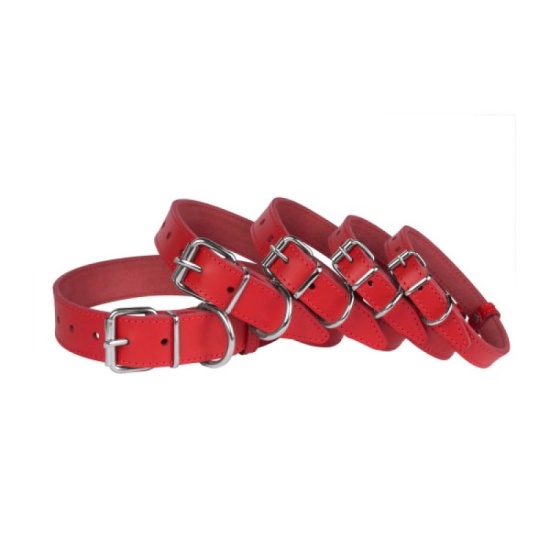 Нашийник для Собак Шкіряний "Весна" Червоний