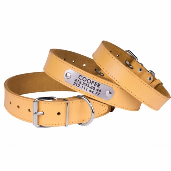 Нашийник для Собак Шкіряний "Весна" Жовтий