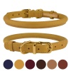 Ошейник для собак круглый кожаный BronzeDog Crazy Горчичный