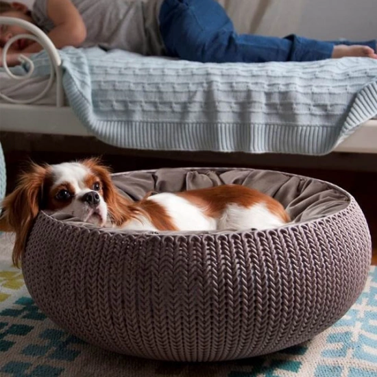 Curver clearance pet bed