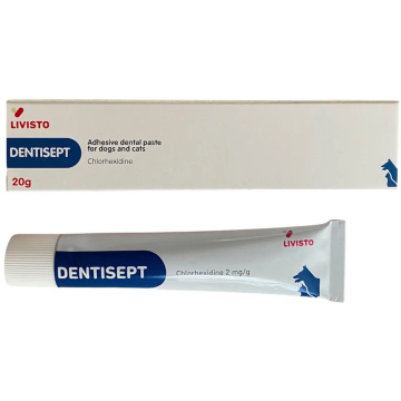 Livisto Dentisept (Ливисто Дентисепт) Адгезивная зубная паста