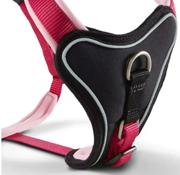 Шлейка Wolters Professional Comfort для собак, смягченная Малиновая