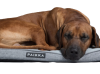 Матрас Ортопедический - Охлаждающий Paikka Cooling Orthopedic Mattress Grey для собак 
